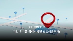 softlanders_insight_110