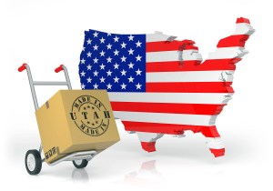 미국 이사